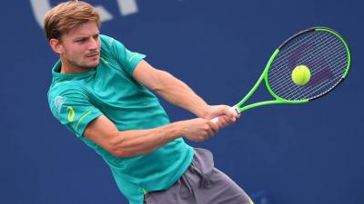 Давид Гоффин – Пьер-Юге Эрбер, 2 раунд, Citi Open, Вашингтон, США